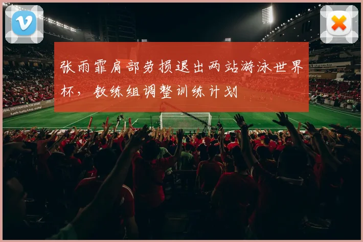 张雨霏肩部劳损退出两站游泳世界杯，教练组调整训练计划