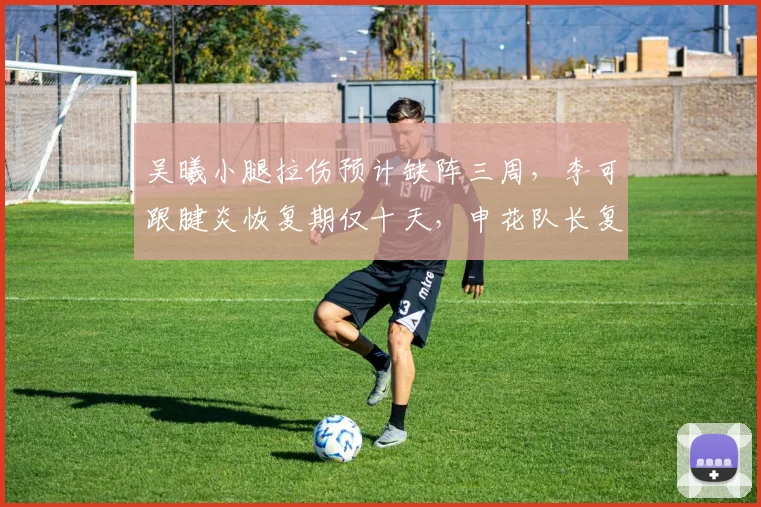 吴曦小腿拉伤预计缺阵三周，李可跟腱炎恢复期仅十天，申花队长复出时间大不同